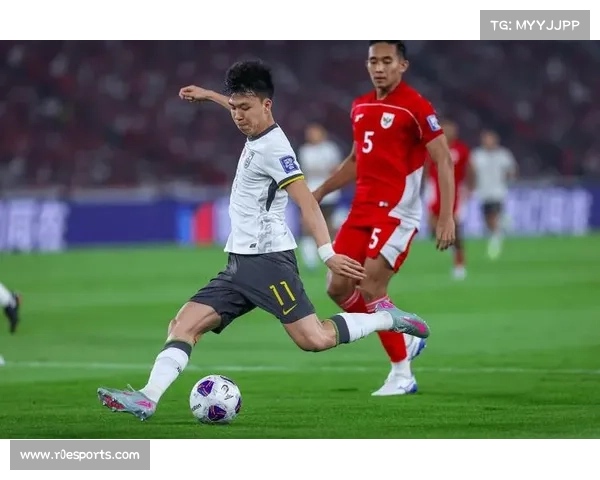 终场哨响，尼斯球员与球迷冲突后的混乱现场与各方反应