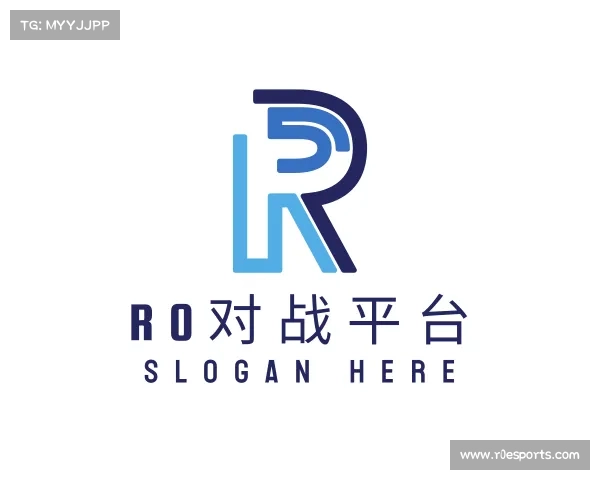 介绍r0对战平台